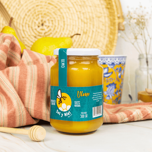 Miel - Ulmo - 500 Ml